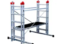 Kleine Multirey steiger