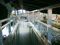 Passerelle speciali