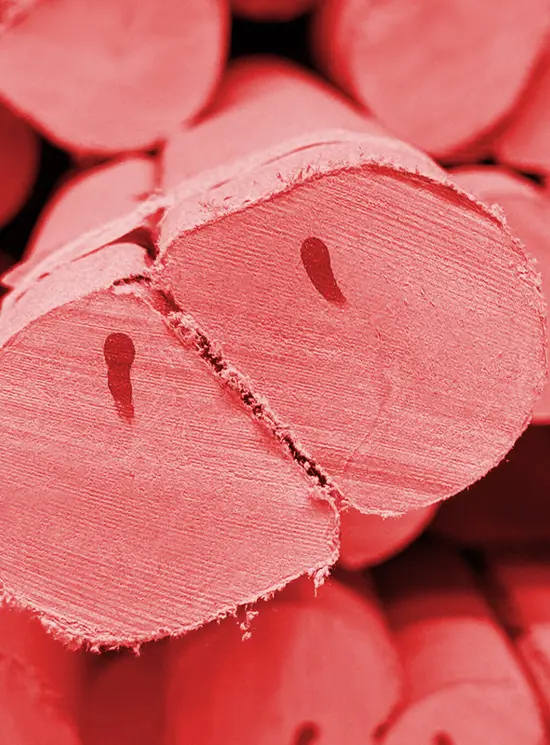 FIBRASAFE FSF (фасад)