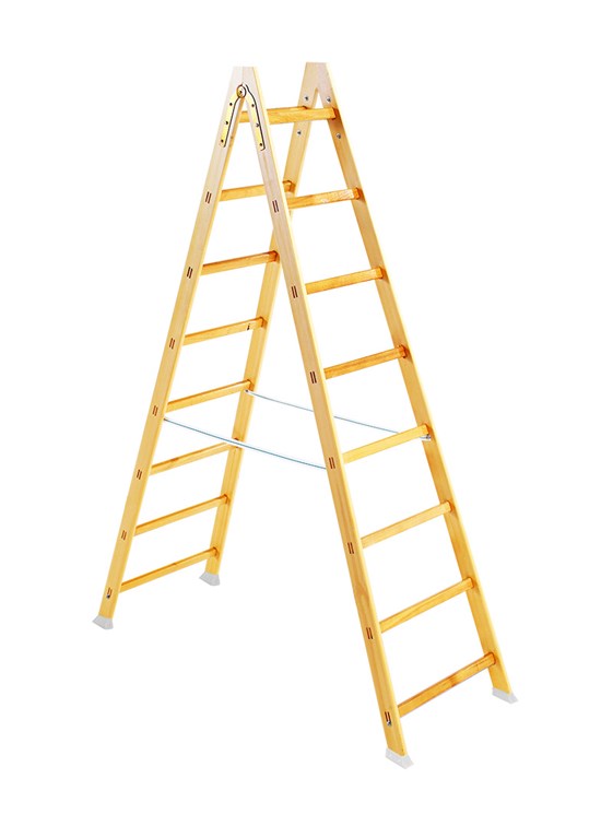 S1